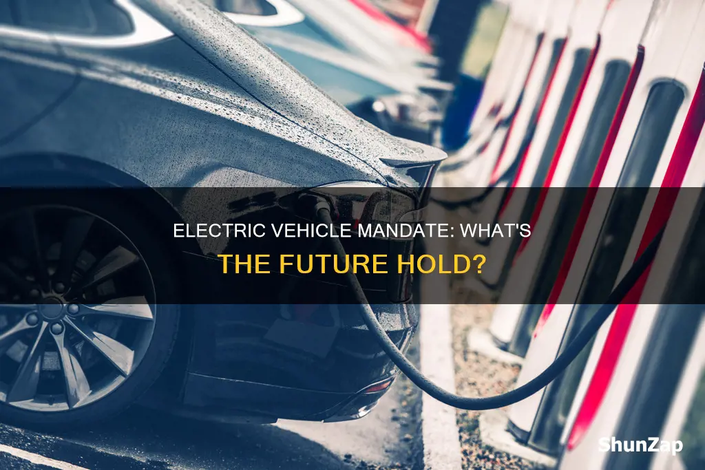 is there a electric vehicle mandate