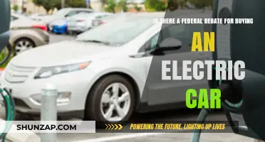 Federal Rebates for Electric Cars: What You Need to Know