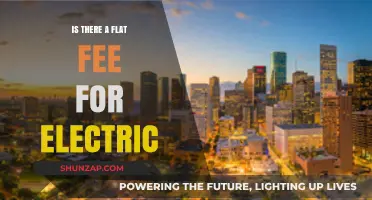 Electricity Pricing: Flat Fees Explained