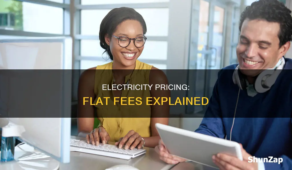 is there a flat fee for electric