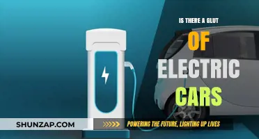 Are Electric Cars Oversaturating the Market? A Critical Analysis