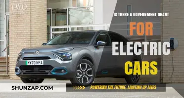 Unlocking Savings: Government Grants for Electric Car Buyers Explained
