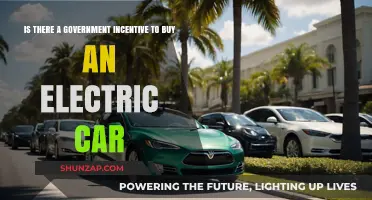Government Incentives for Electric Cars: What You Need to Know