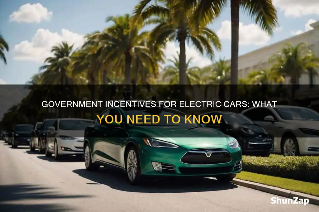 is there a government incentive to buy an electric car