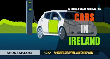 Unlocking Green Mobility: Ireland's Electric Car Grant Explained
