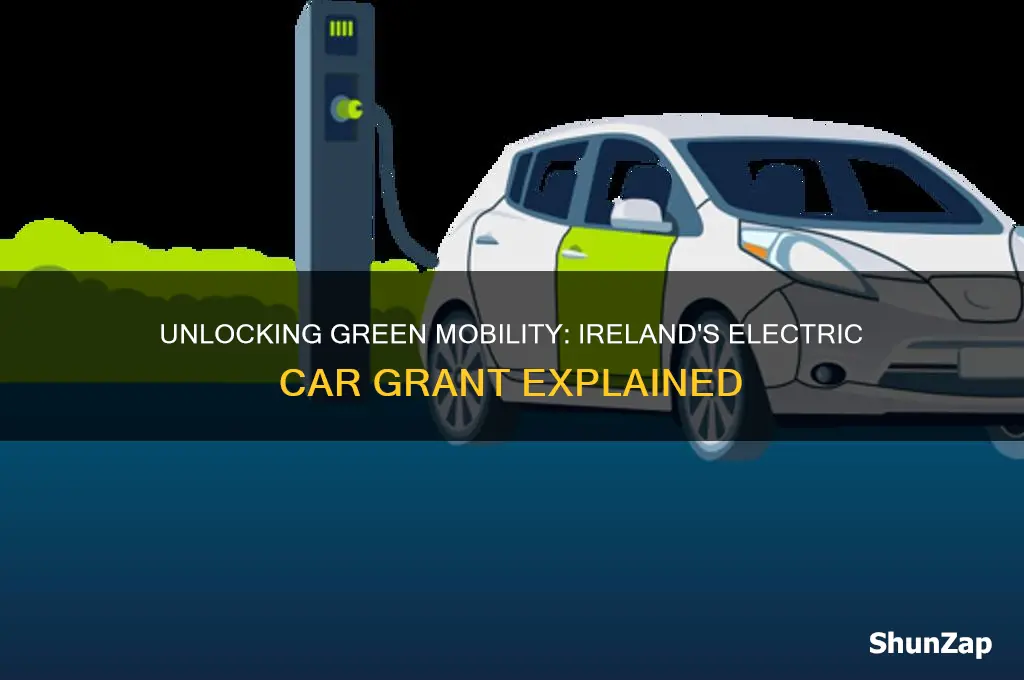 is there a grant for electric cars in ireland