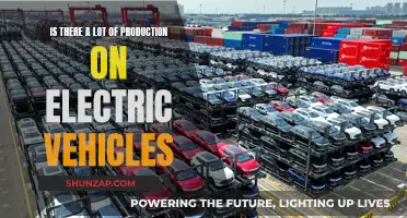 Electric Vehicle Revolution: Are We Seeing a Production Boom?