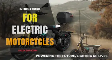 Electric Motorcycles: Market Potential and Consumer Interest