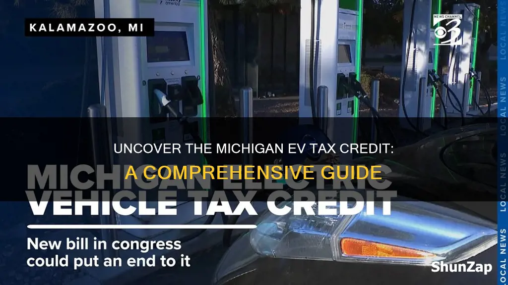 is there a michigan electric vehicle credit