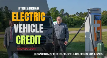 Electric Vehicle Incentives: Michigan's EV Credit Explained