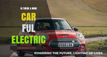 Exploring the Rise of Fully Electric Mini Cars: Are They Worth It?
