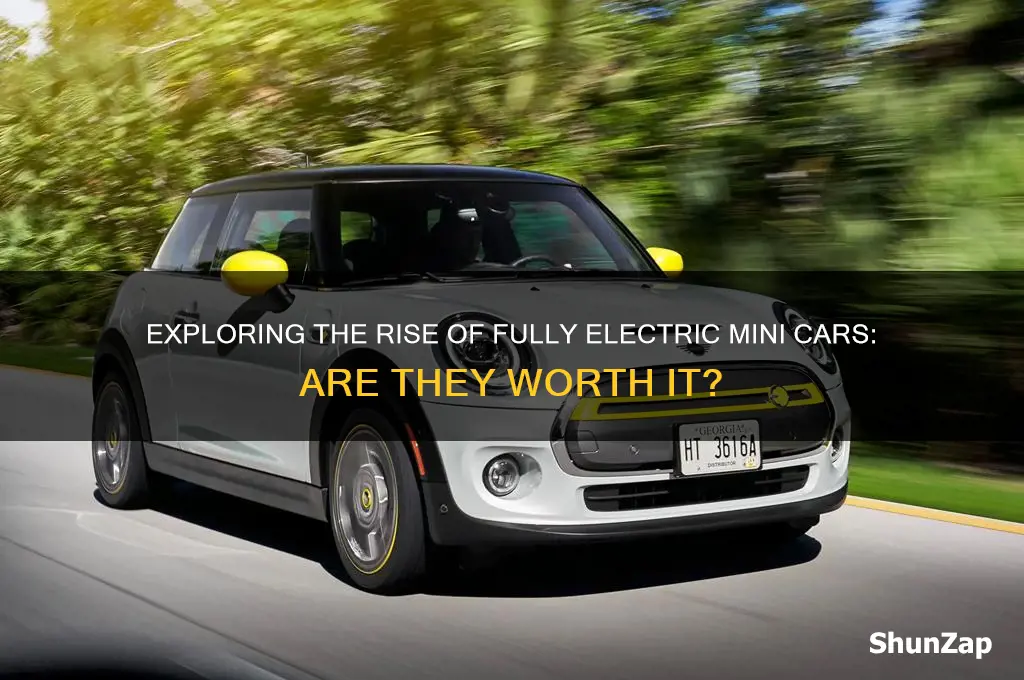 is there a mini car ful electric