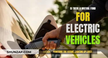 Electric Vehicles: Mutual Funds for the Future of Driving