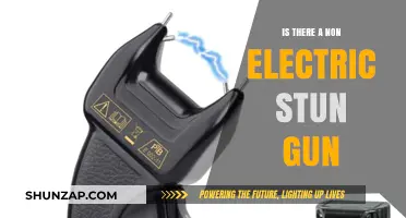 Stun Guns: Electric or Not?