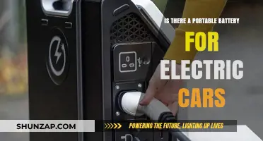 Portable Batteries for Electric Cars: Myth or Reality?