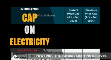 Electricity Price Cap: What's the Limit?