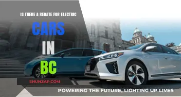 BC Electric Car Rebates: What You Need to Know