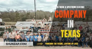 Electric Spectrum in Texas: What You Need to Know