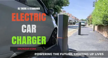 Standard Electric Car Chargers: What You Need to Know
