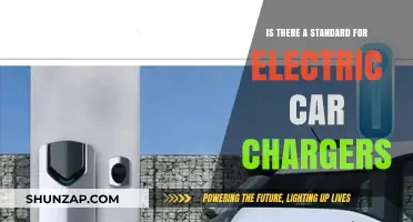 Electric Car Chargers: Exploring the Standards and Compatibility Issues