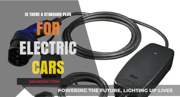 Standard Electric Car Plugs: What You Need to Know