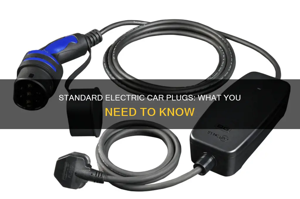 is there a standard plug for electric cars