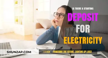 How Much Money Do You Need to Start Electricity Services?