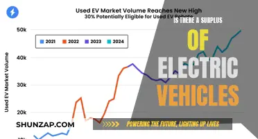 Electric Vehicle Market: Surplus or Shortage?