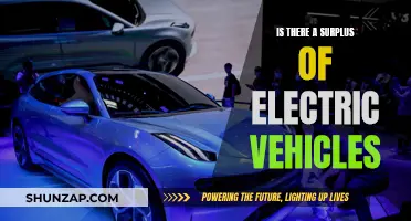 The Electric Vehicle Boom: Surplus or Sustainable Growth?