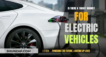 Who is Buying Electric Vehicles?