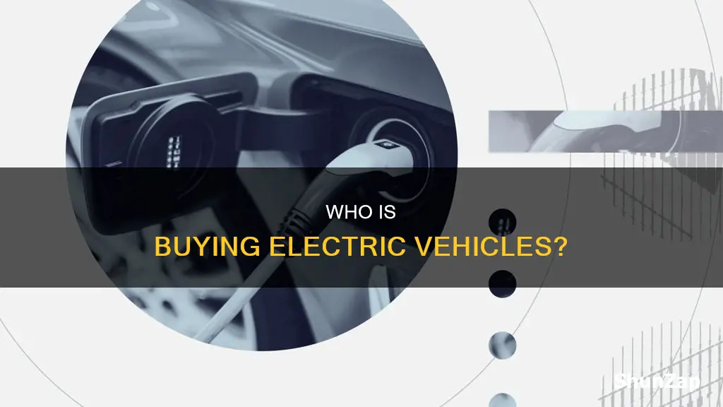 is there a target market for electric vehicles