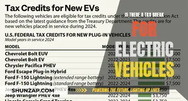 Uncover the Tax Benefits: Electric Vehicles and You