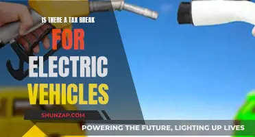 Electric Vehicles: Tax Breaks and Benefits Explored