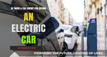 Electric Car Tax Credit: What Buyers Need to Know