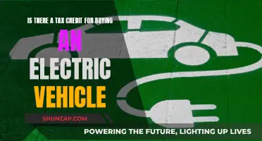 Electric Vehicle Tax Credits: What You Need to Know