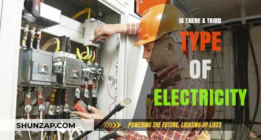 Electricity's Third Form: What's the Mystery?