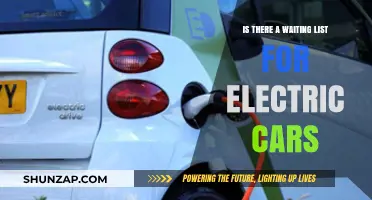 Electric Car Demand: Are Waiting Lists the New Normal?