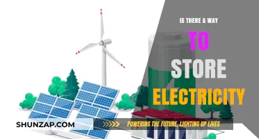 Storing Electricity: What Are Our Options?