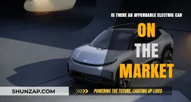 Affordable Electric Cars: Are Budget-Friendly Options Available Today?