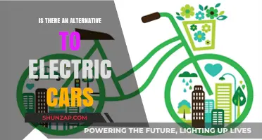 Beyond Electric Vehicles: Exploring Sustainable Transportation Alternatives for the Future
