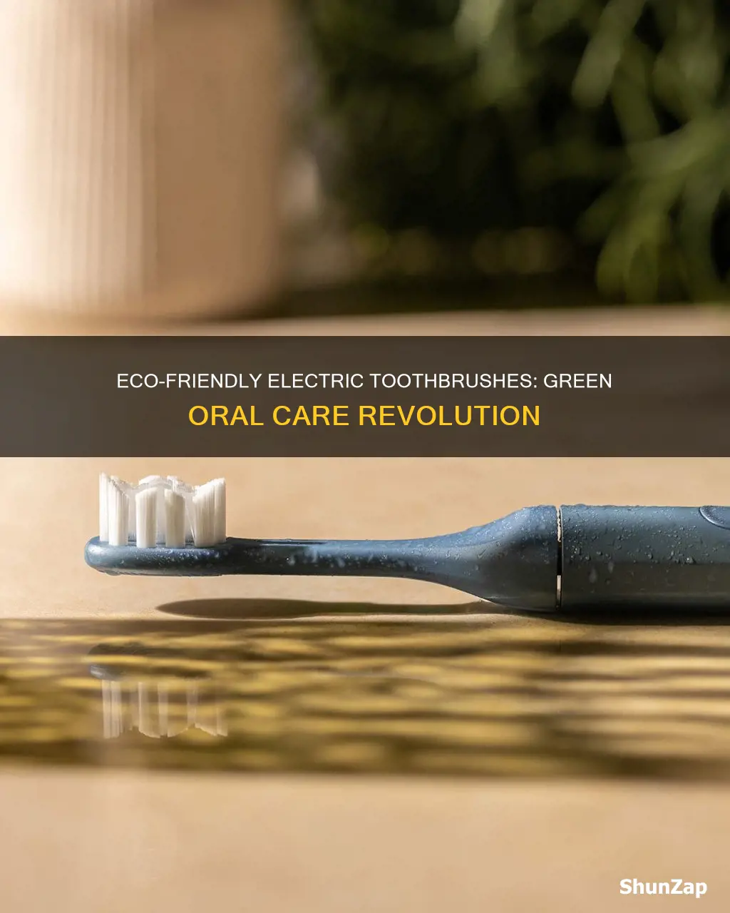 is there an eco friendly electric toothbrush