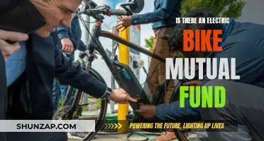 Electric Bike Mutual Funds: A Smart Investment Move?