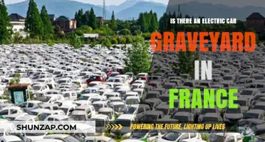 France's Electric Car Graveyard: Myth or Reality?