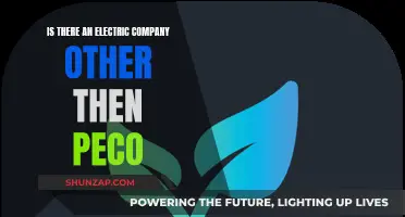 Electric Company Alternatives: Exploring Options Beyond Peco