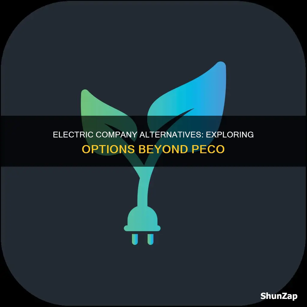 is there an electric company other then peco