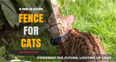 Electric Fences for Cats: Are They Effective?