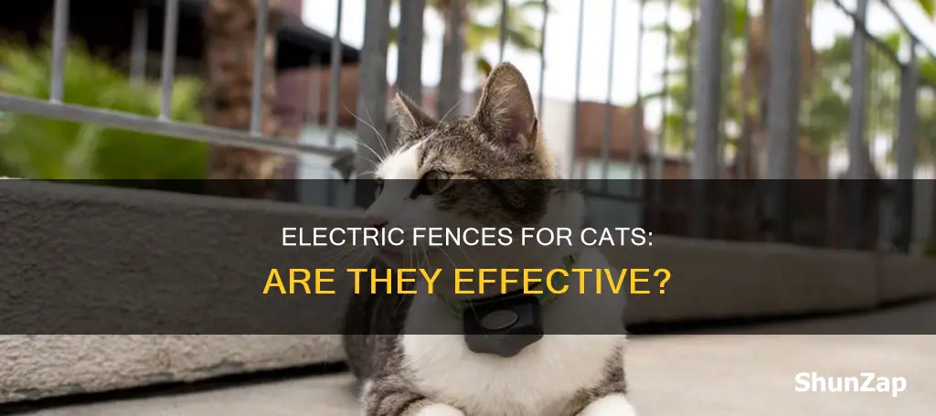 is there an electric fence for cats