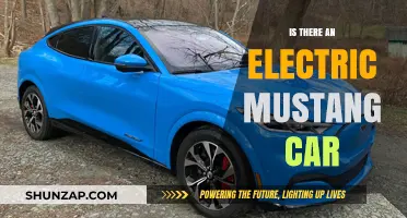 Electric Mustang: Does Ford Offer an Electrified Iconic Pony Car?