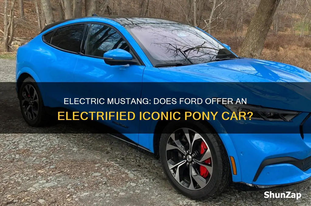 is there an electric mustang car