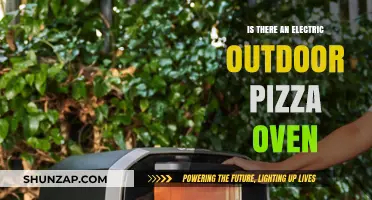 Best Electric Outdoor Pizza Ovens for Your Garden